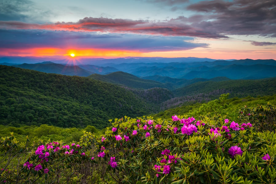 Cheap flights from San José, Costa Rica to Asheville, NC