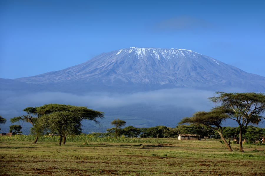 Cheap flights from New Delhi, India to Mount Kilimanjaro, Tanzania