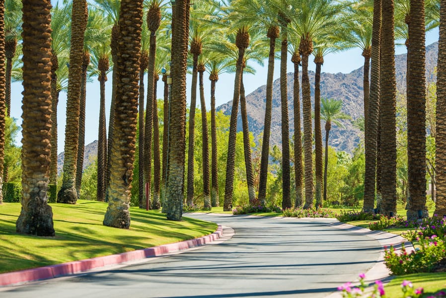 Cheap flights from Houston, TX to Palm Springs, CA