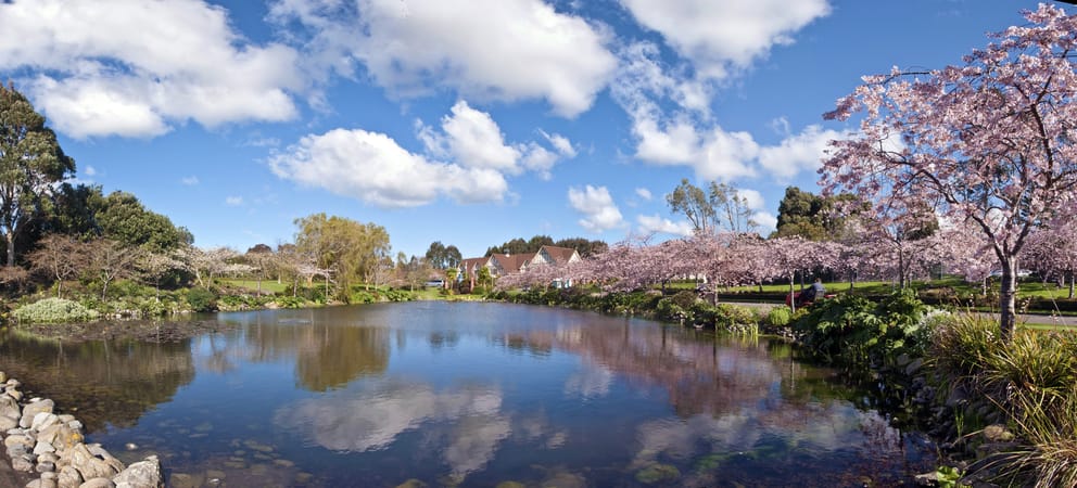 Cheap flights from Sapporo, Japan to Palmerston North, New Zealand