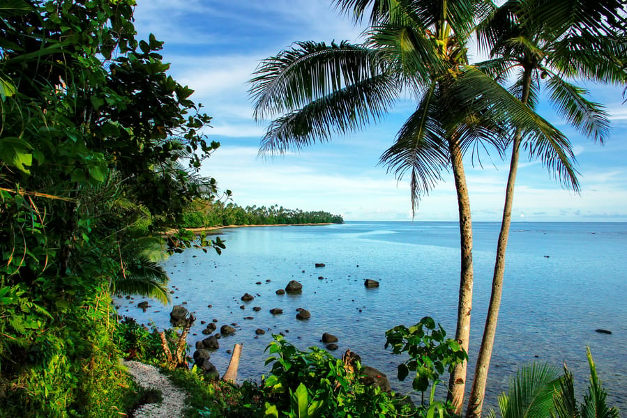 Cheap flights from Nadi, Fiji to Taveuni, Fiji