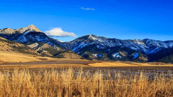 Bozeman
