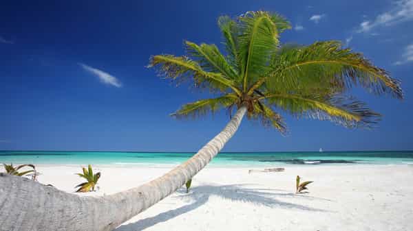 Cancún