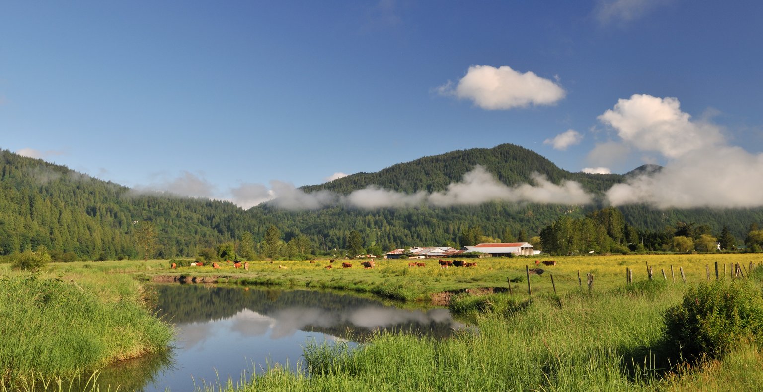 Cheap flights from Winnipeg to Abbotsford from CA$149