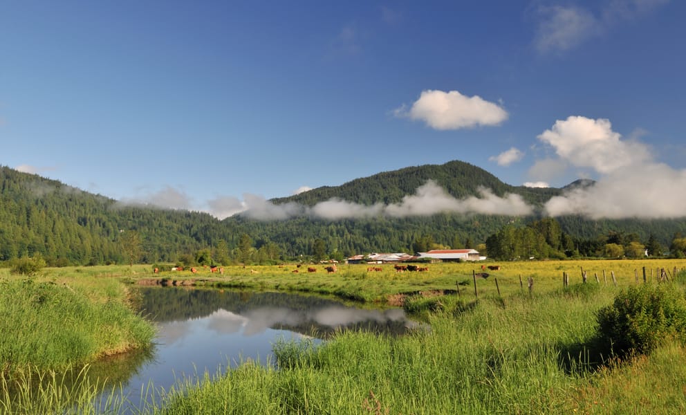 Günstige Mietwagen in Abbotsford, Kanada