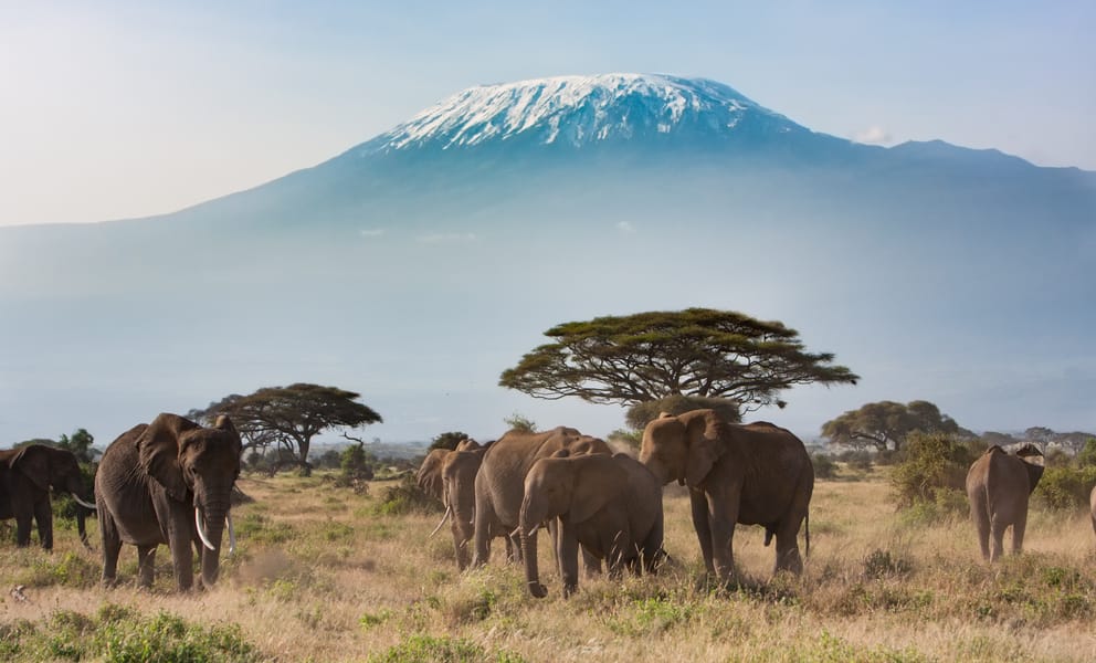 Cheap flights from Nairobi, Kenya to Amboseli National Park, Kenya