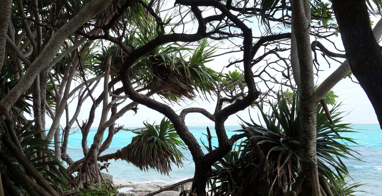 Trouvez des vols à prix mini vers Aneityum