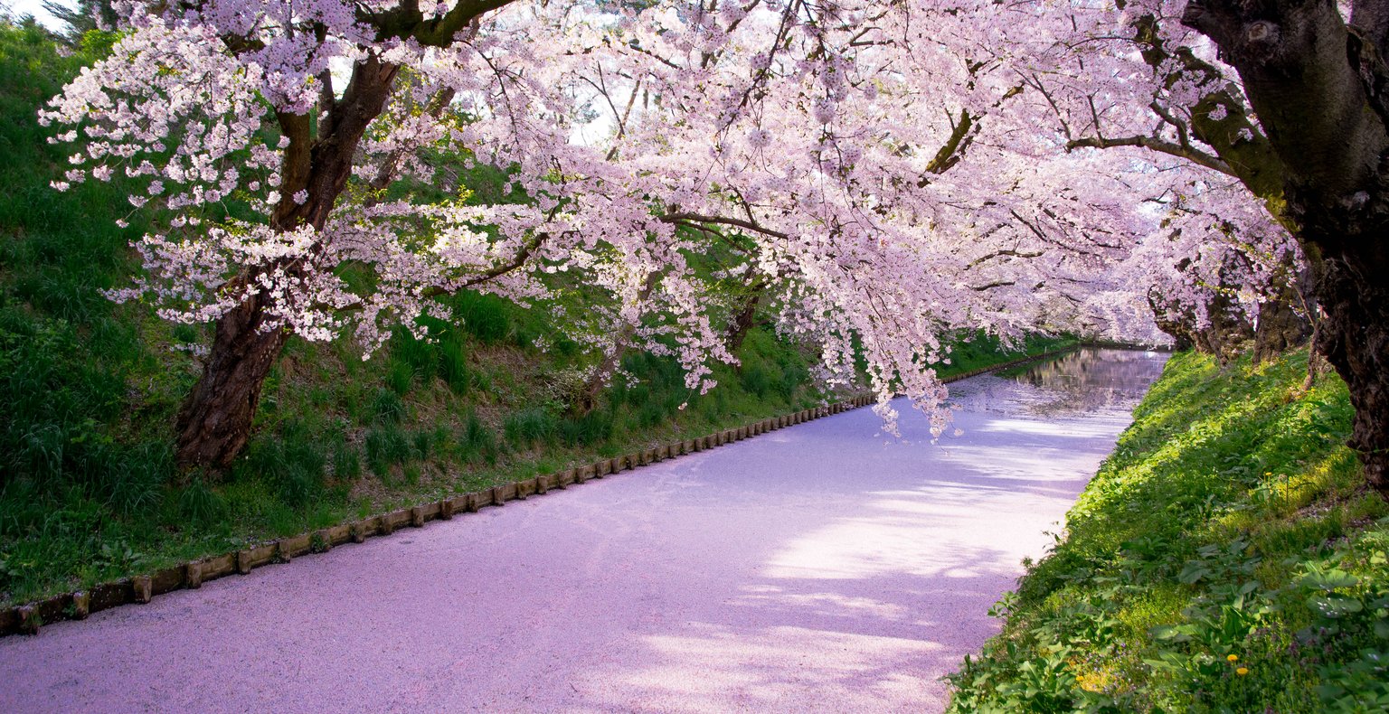 福岡発青森行きの格安チケットが¥25,846~