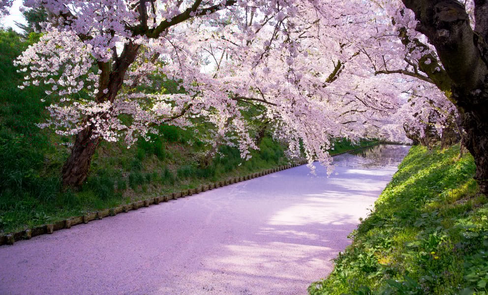 Cheap car rentals in Aomori, Japan