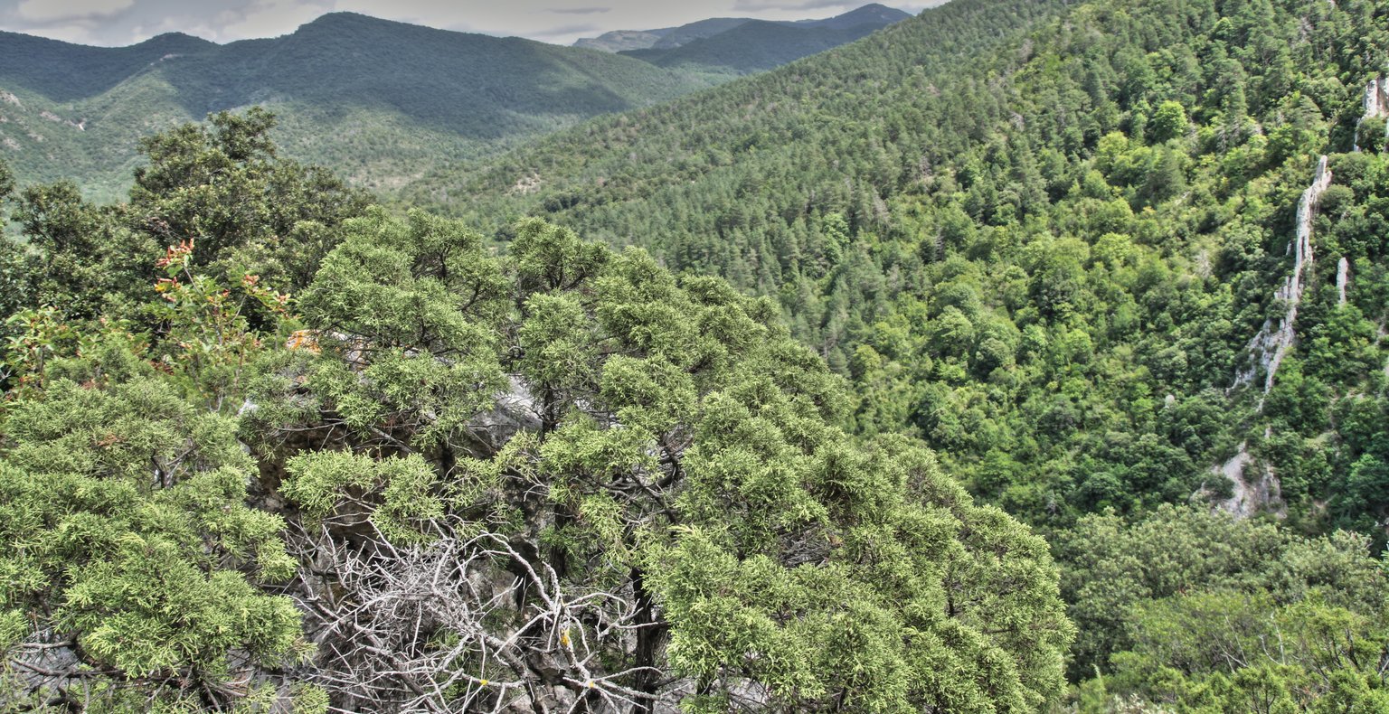 Vuelos baratos de Mazatlán a Arar a partir de 666 €