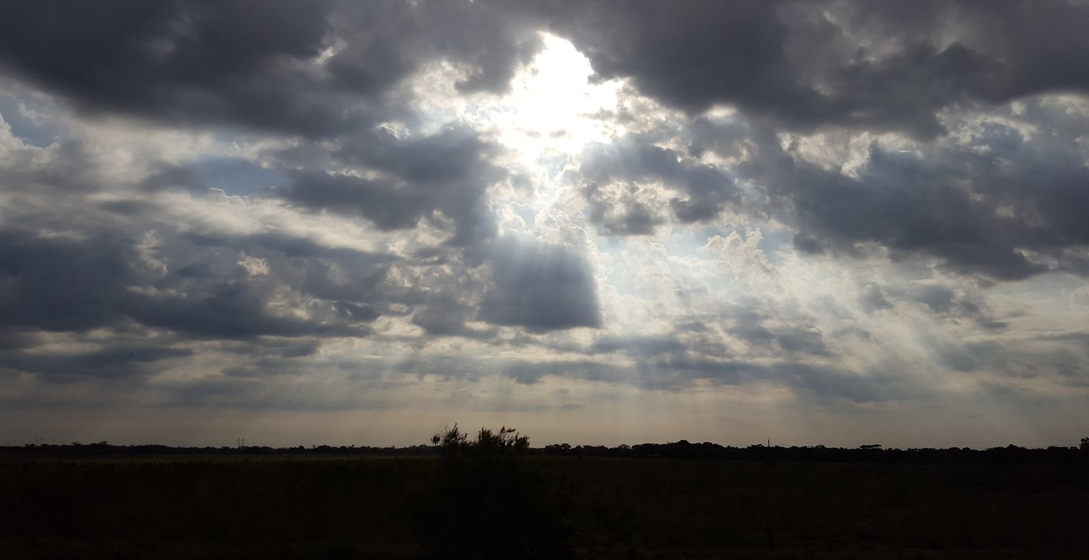 Vuelos baratos de Cartagena a Arauca a partir de 96 €