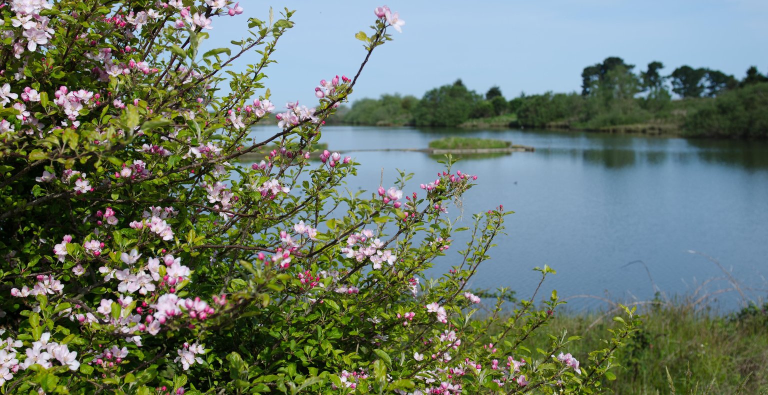 Cheap flights from Stockton to Arcata from