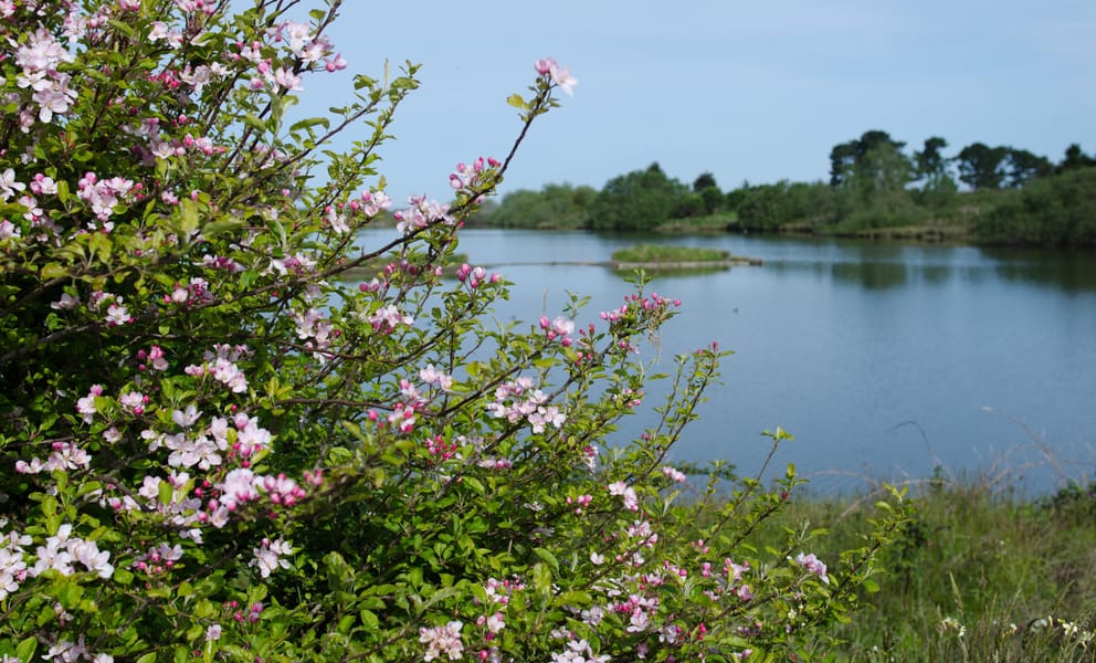 Cheap car rentals in Arcata, United States