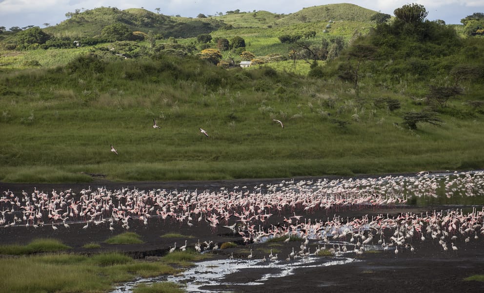 Cheap car rentals in Arusha, Tanzania