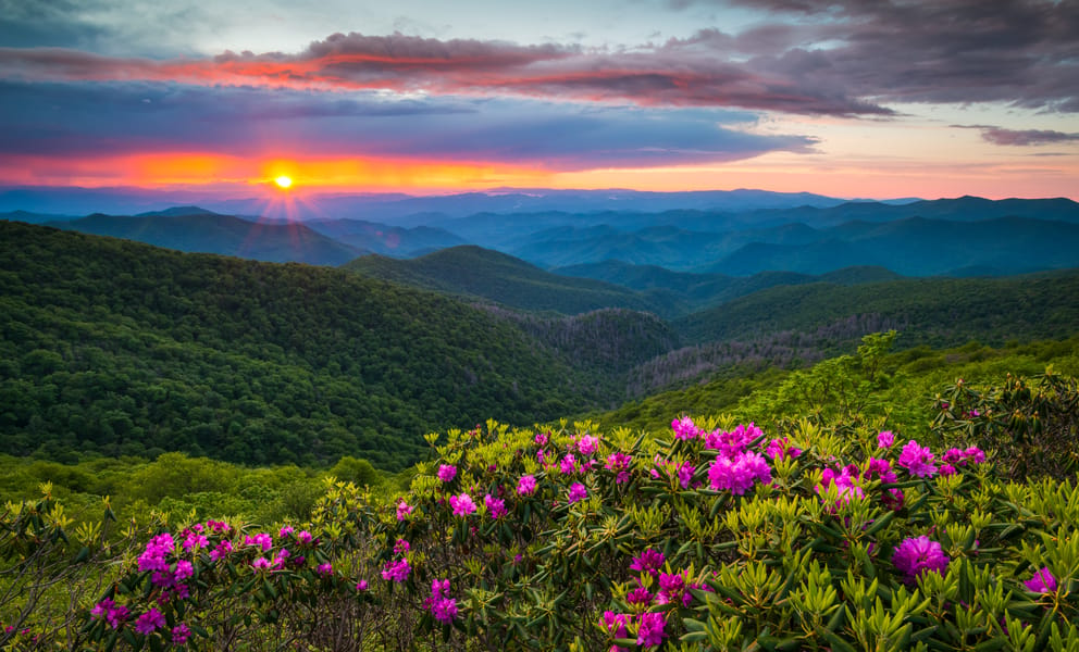 Marseille to Asheville, NC flights from £293
