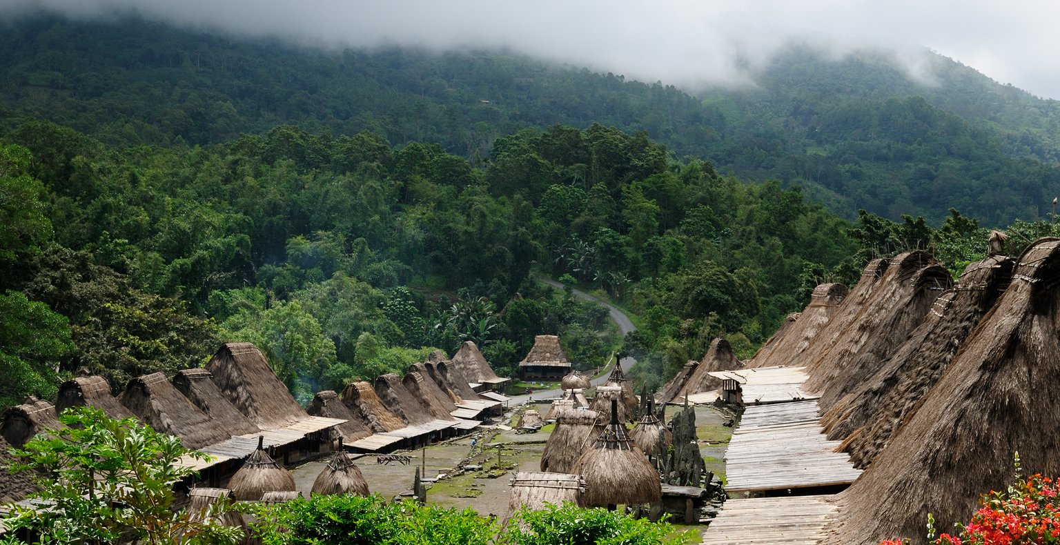 טיסות to Bajawa אינדונזיה