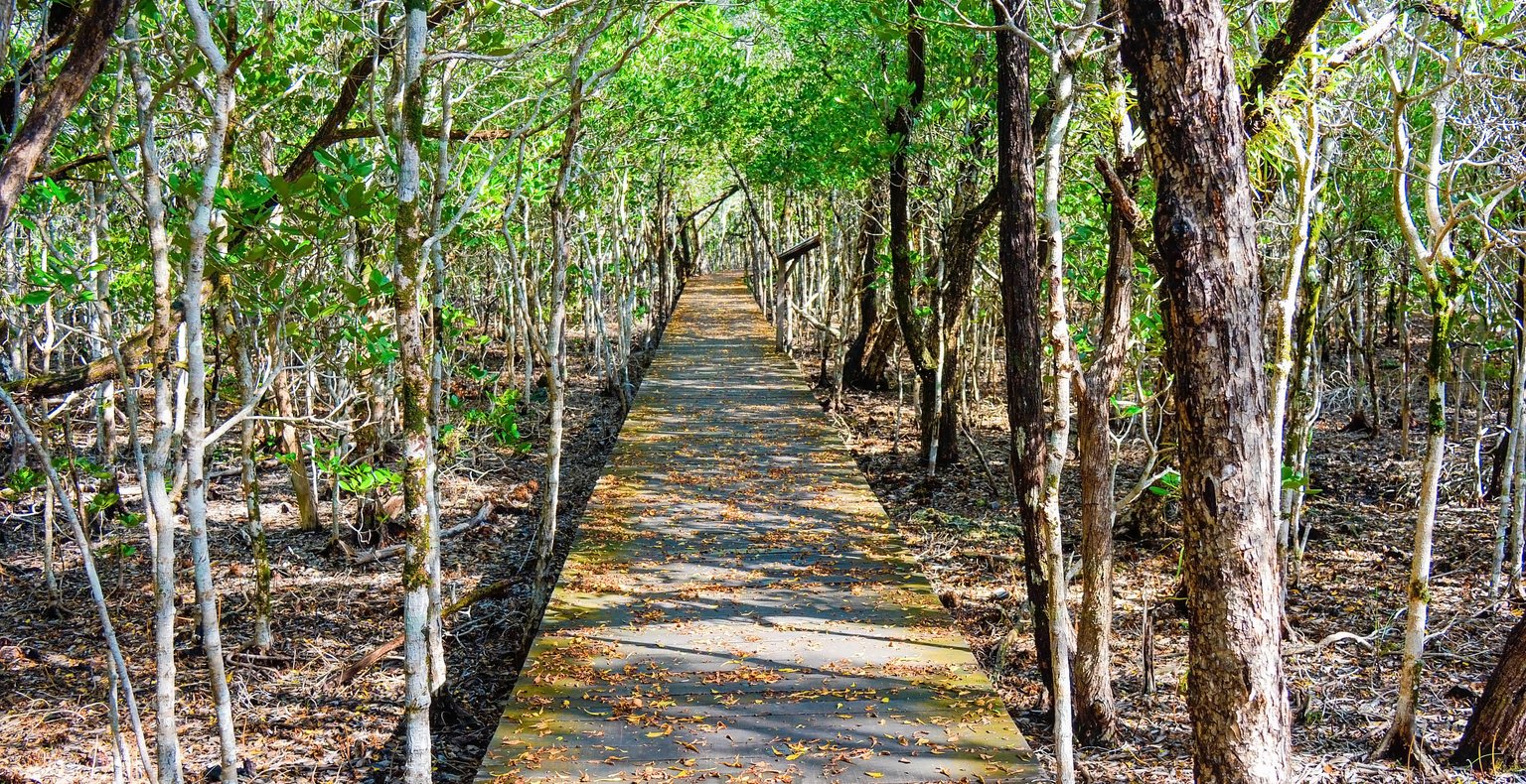 Billige flybilletter from Bangkok to Balikpapan fra 915 kr