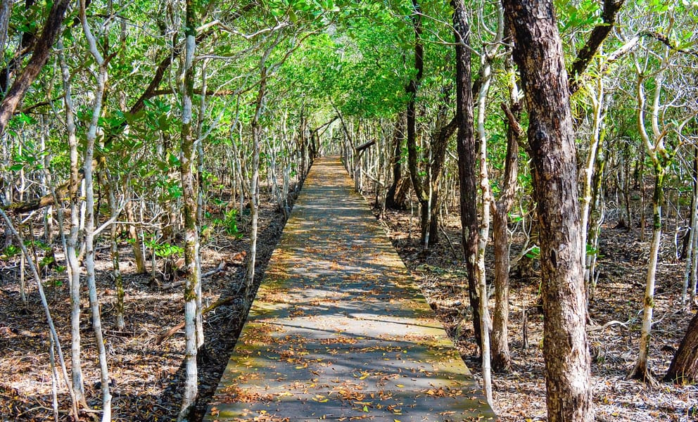 Cheap car rentals in Balikpapan, Indonesia