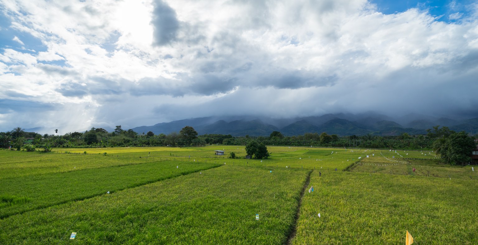 Lentoja  to Bario (Malesia)