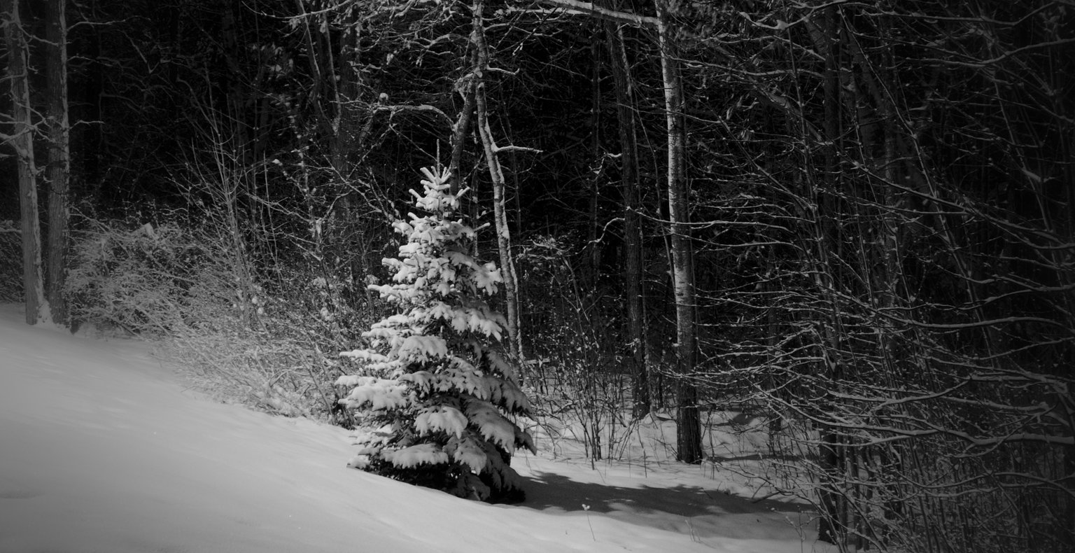 Find billige flybilletter to Bemidji