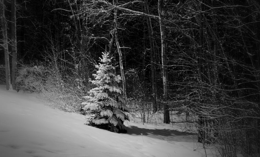Cheap car rentals in Bemidji, United States