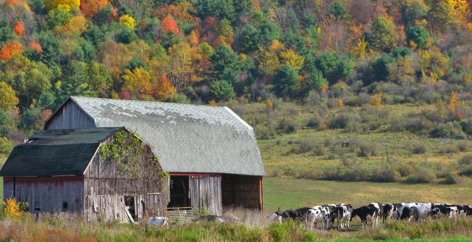 Encuentra vuelos baratos to Binghamton
