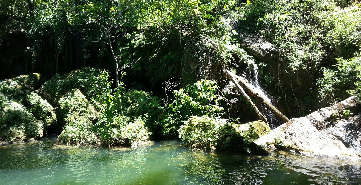 Leia odavad lennud Bonito