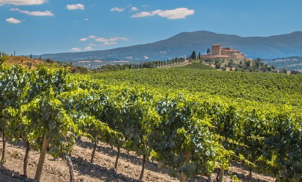 Günstige Mietwagen in Bordeaux, Frankreich