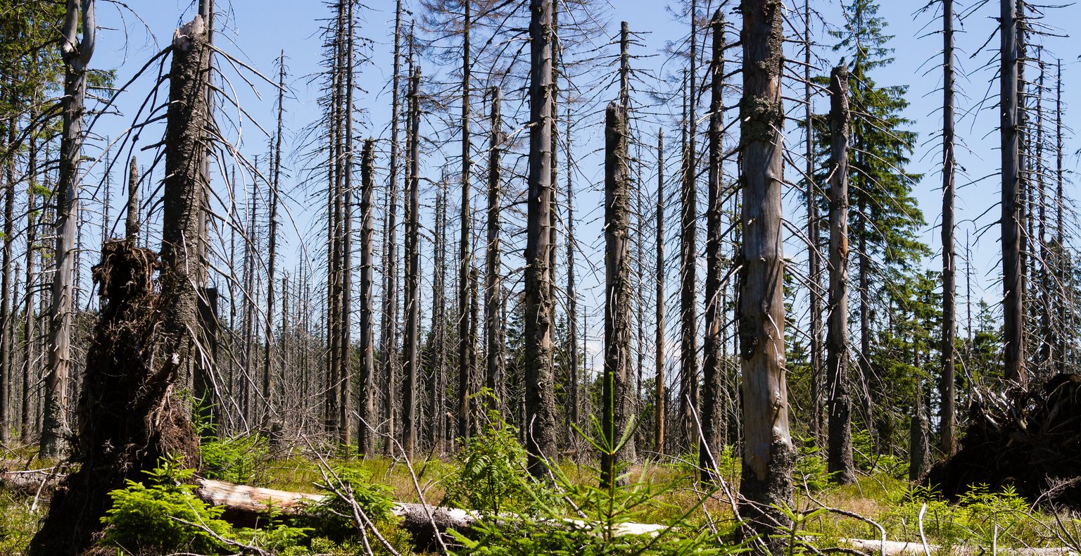 Find cheap flights to Burnt Pine