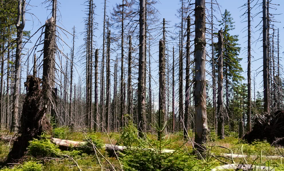 Cheap car rentals in Burnt Pine, Norfolk Island