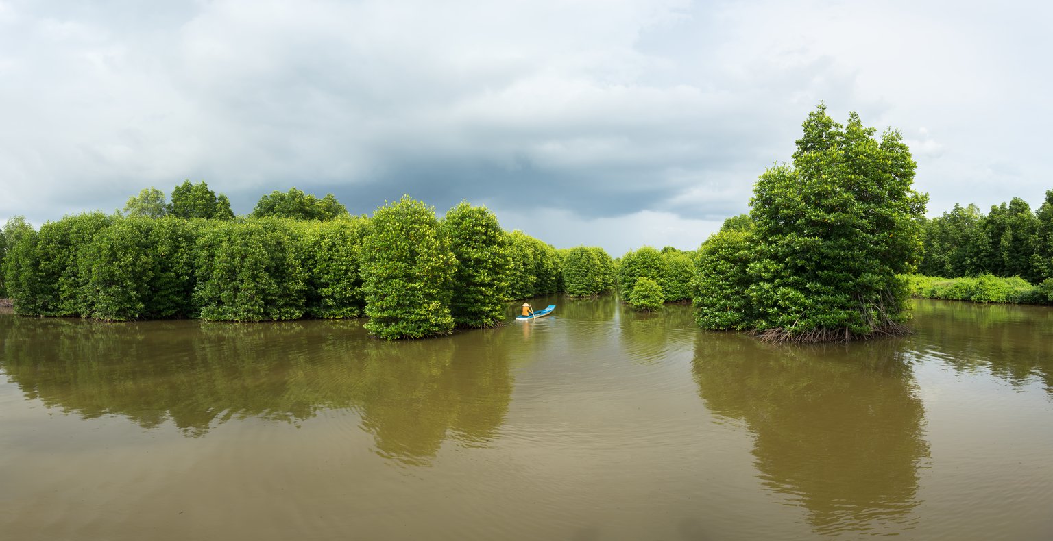 Günstige Flüge von Ho-Chi-Minh-Stadt in die Provinz Ca Mau ab