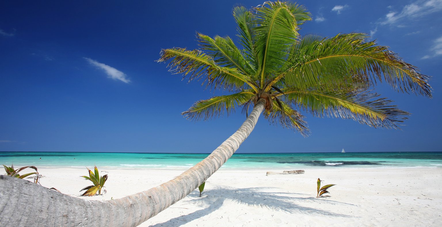 Cheap flights from Medellín to Cancún from CA$234