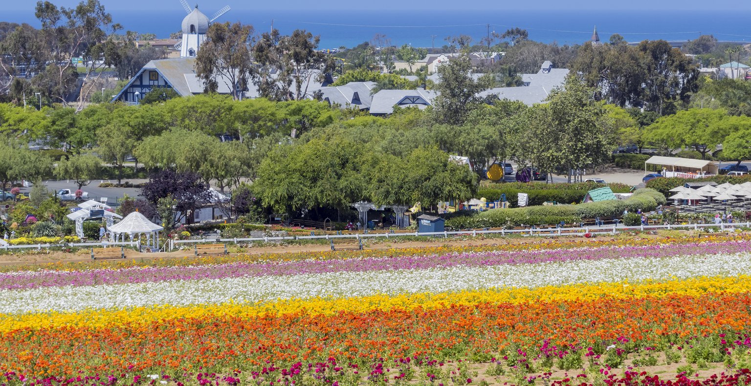 Cheap flights from San Francisco to Carlsbad from £229
