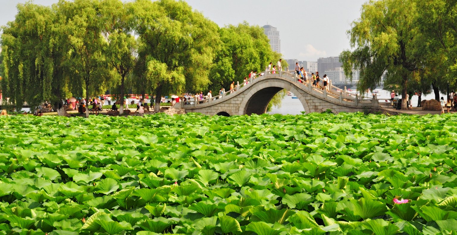 由从宁波前往到长春的低价航班仅需 ¥1,963 起