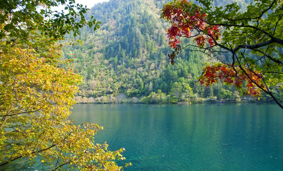 Cheap car rentals in Chengdu, China