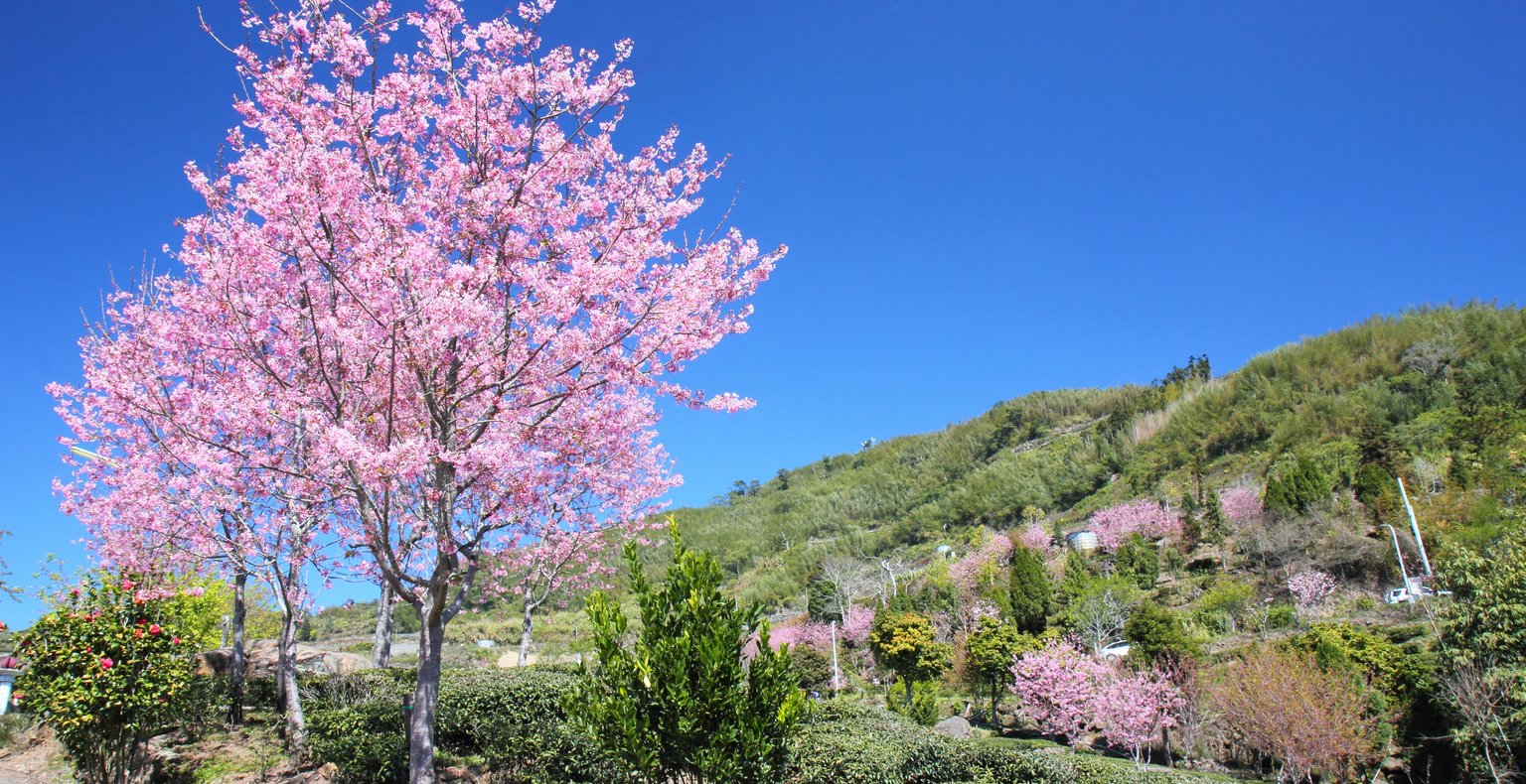 Находите дешевые авиабилеты в г. Chiayi