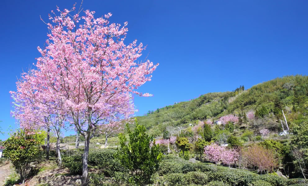 Levné půjčovny aut v Ťia-i, Tchaj-wan