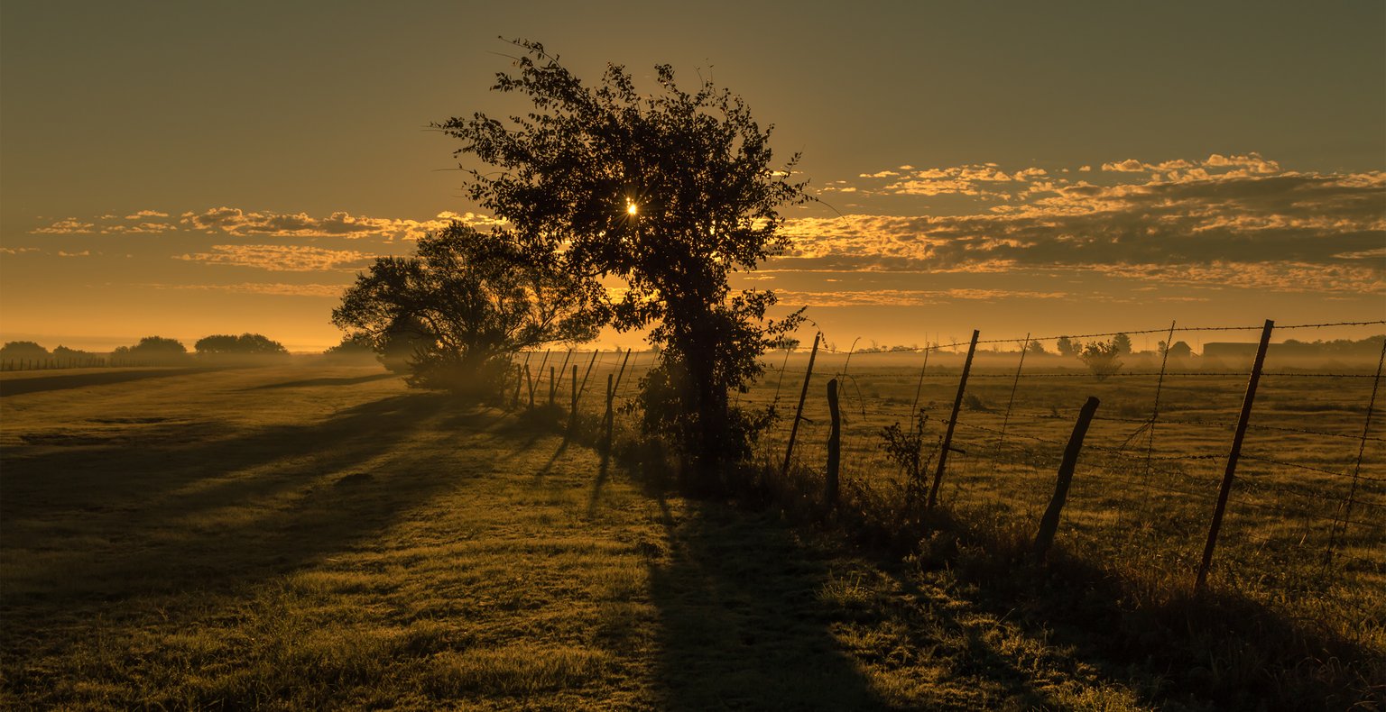 Cheap flights from Dallas to Clovis from $140