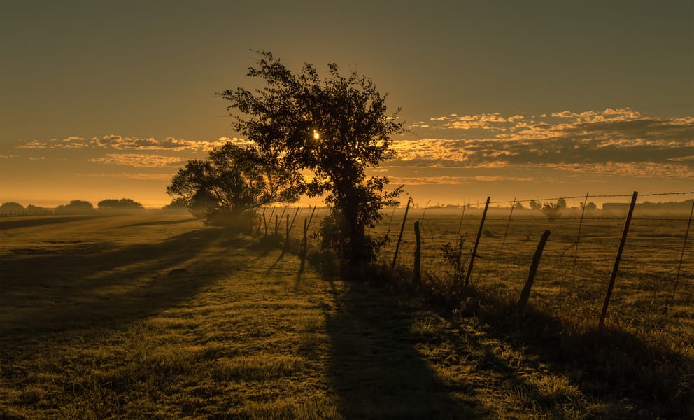 Cheap car rentals in Clovis, United States