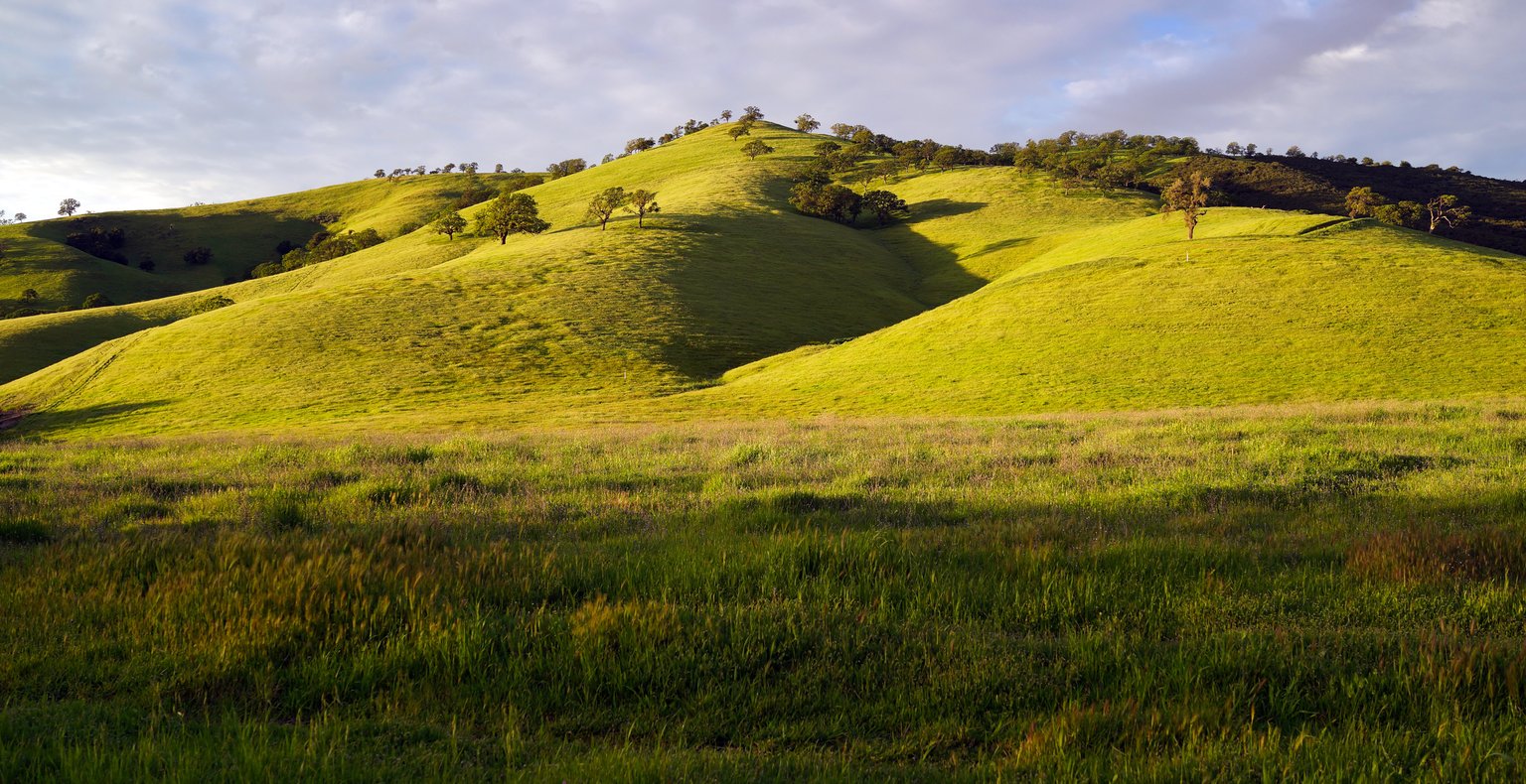 Find cheap flights to Concord