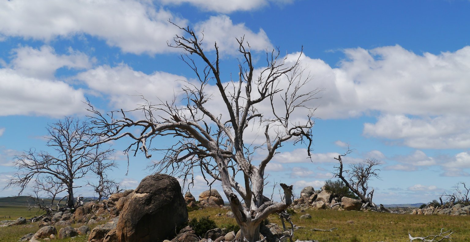 Trouvez des vols à prix mini to Cooma