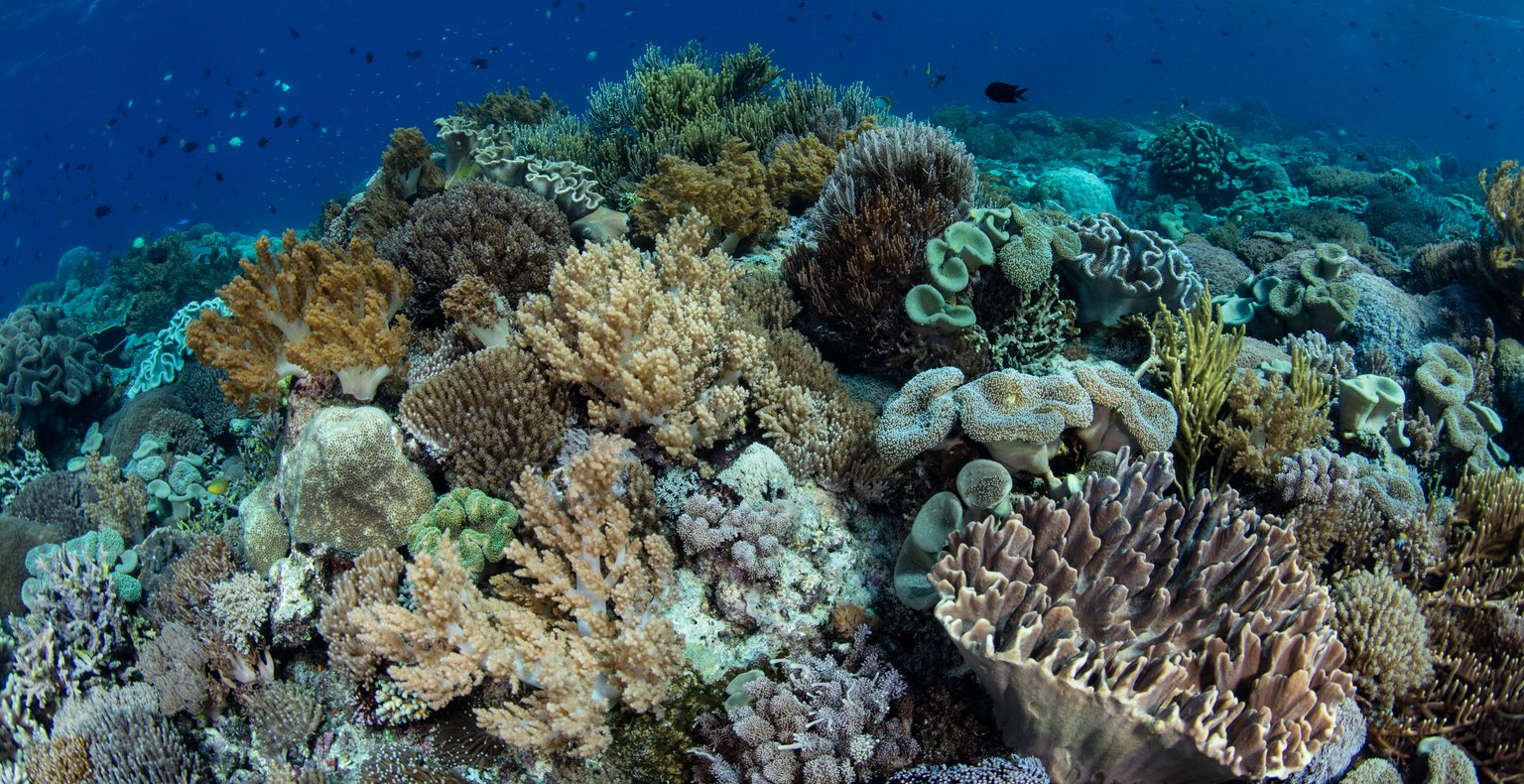 Намиране на евтини полети до Coral Harbour