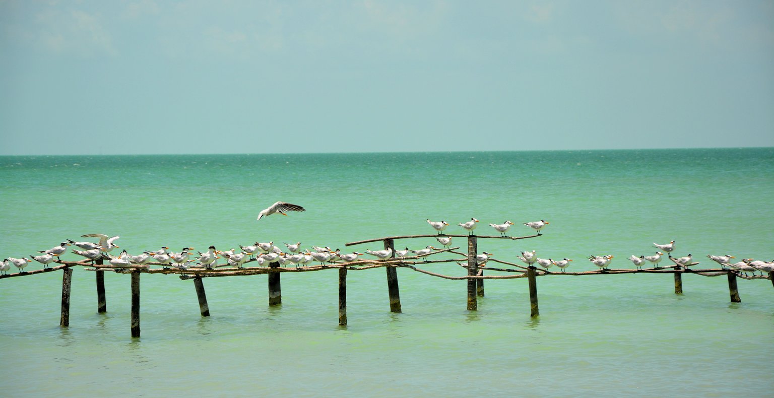 Vols vers Corozal Town, Belize