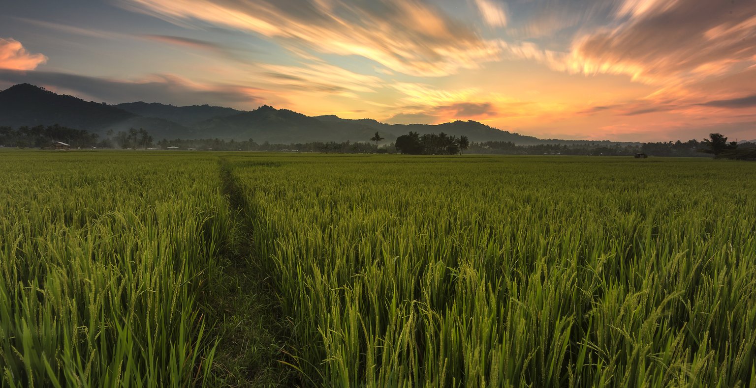 マニラ発コタバト市行きの格安チケットが¥10,889~