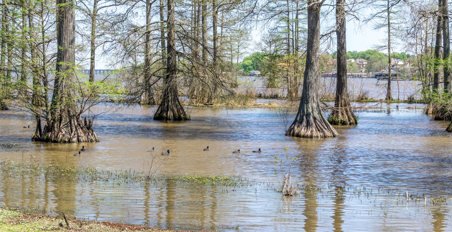 Find cheap flights to Cross Lake, Manitoba