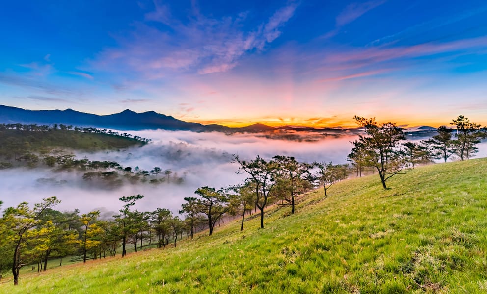 Sản phẩm từ Kiwi Đà Lạt