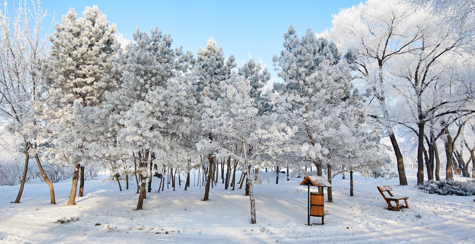 Trouvez des vols à prix mini to Daqing