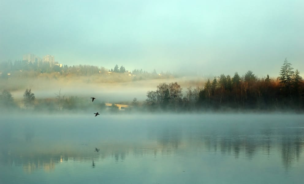 Cheap car rentals in Deer Lake, Canada