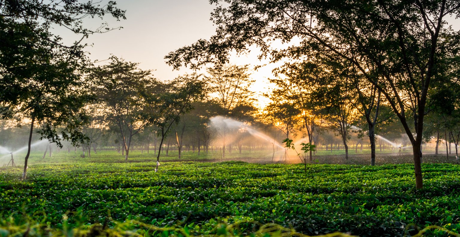 Cheap flights from New Delhi to Dibrugarh from £71