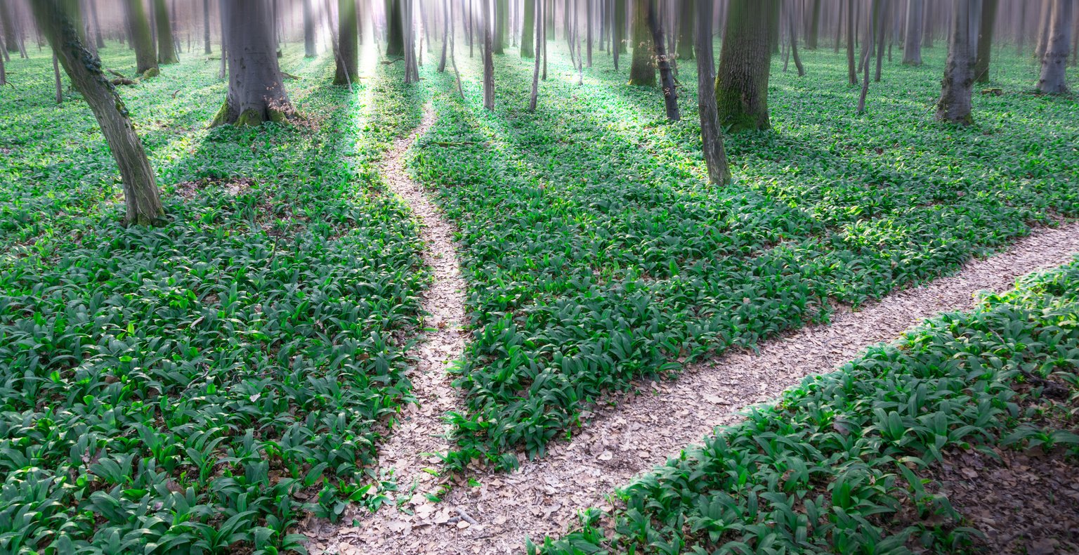 Cheap flights from Canberra to Dili from £352